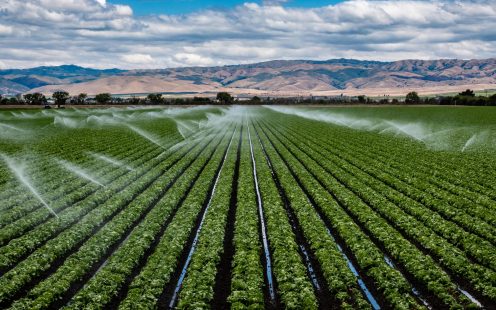 Irrigation Agriculture